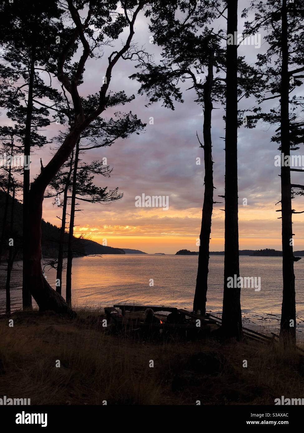 dramatic Golden sunset on San juan islands Stock Photo