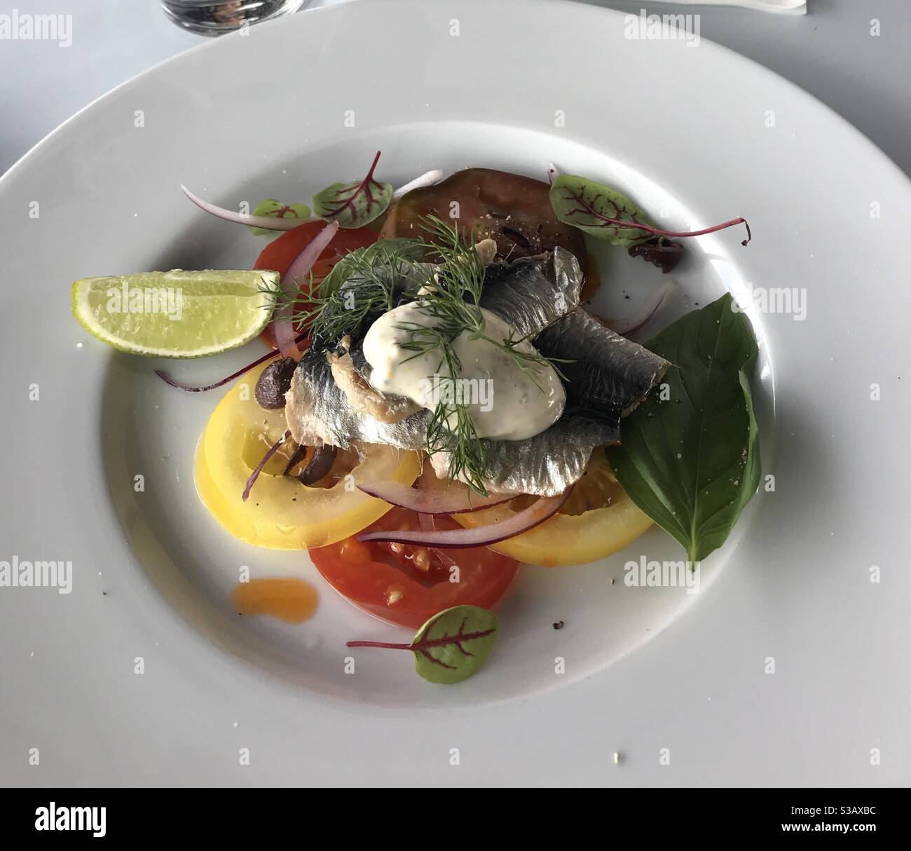 Sardines, mustard mayonnaise, heritage tomato salad, torn basil - Smartphone Captured Stock Image