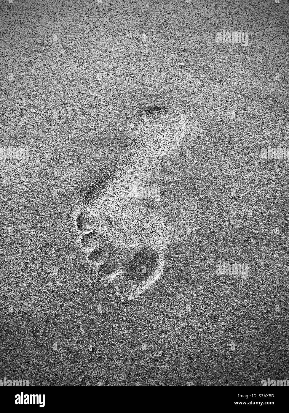 Footprint in the sand Stock Photo Alamy