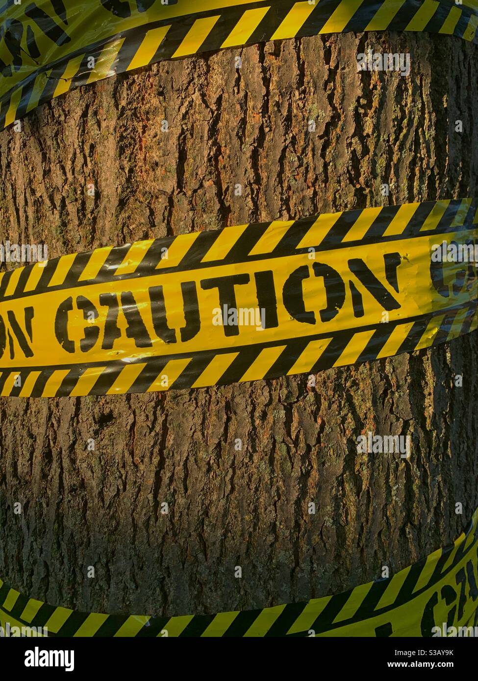 Halloween decoration yellow and black caution tape wrapped around a large tree trunk. Stock Photo