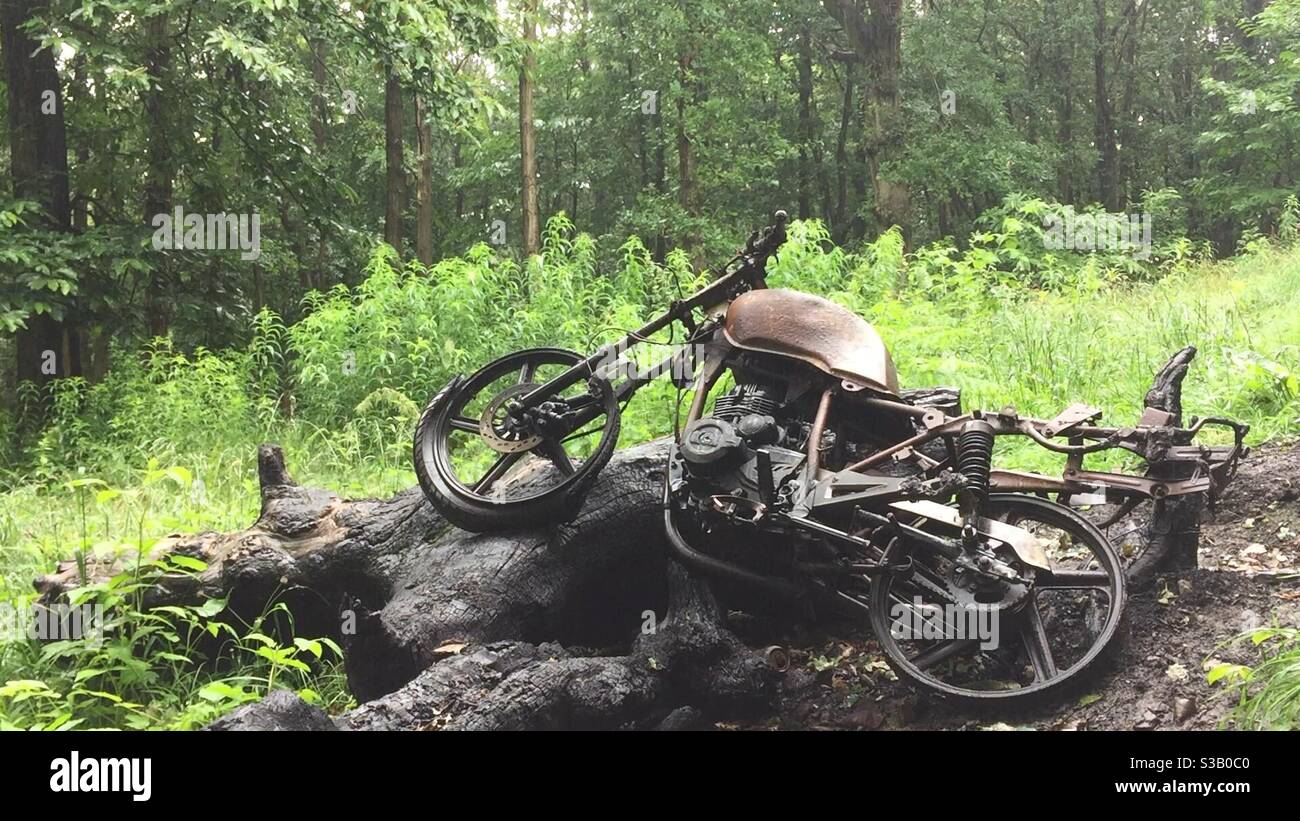 Abandoned motorcycle in forest - Smartphone Captured Stock Image