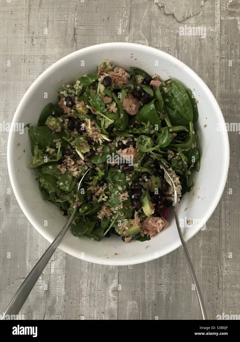 Tuna, bean, avocado and quinoa salad served in a white bowl - Smartphone Captured Stock Image