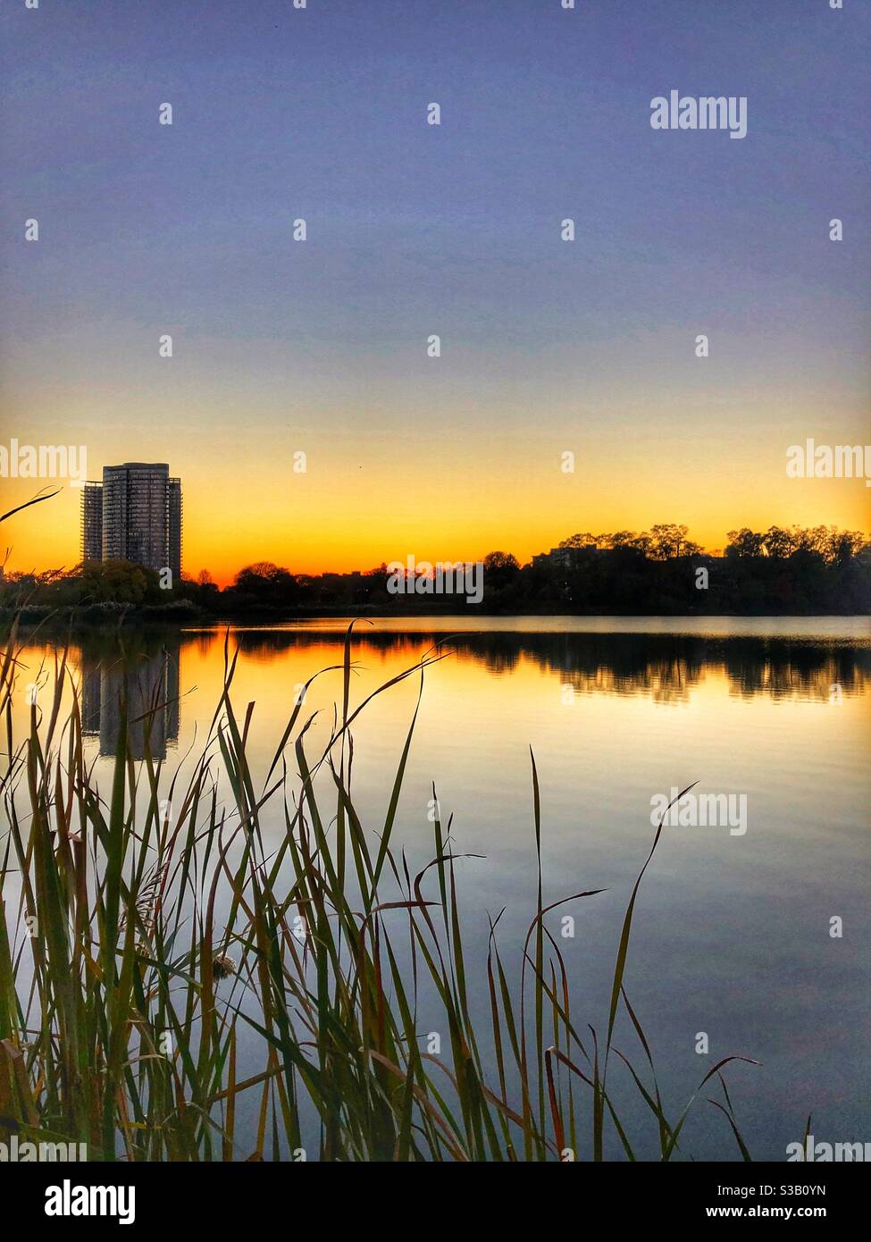 Evening sunset glow over the pond. - Smartphone Captured Stock Image