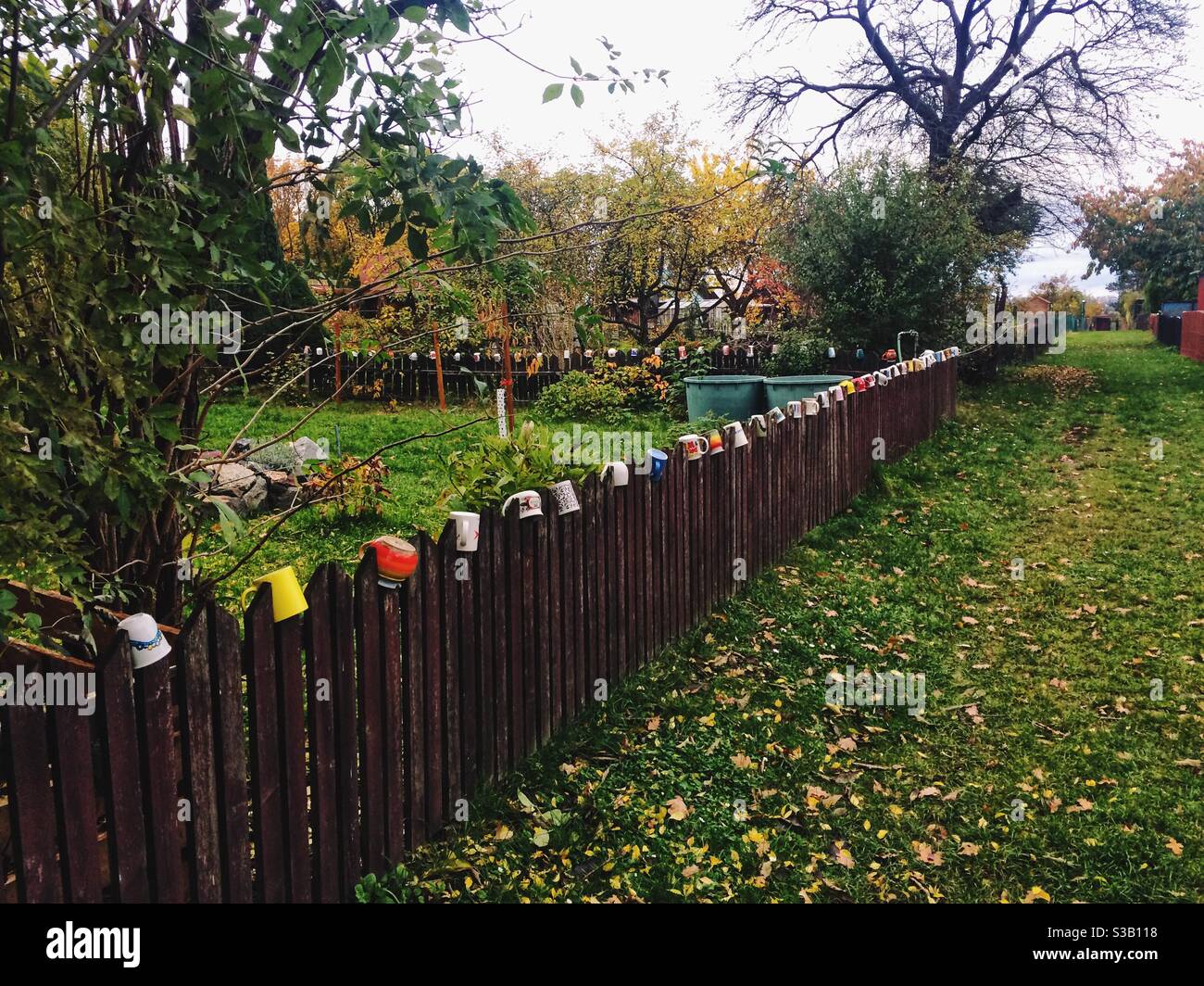 Cute cups on the fence Stock Photo Alamy