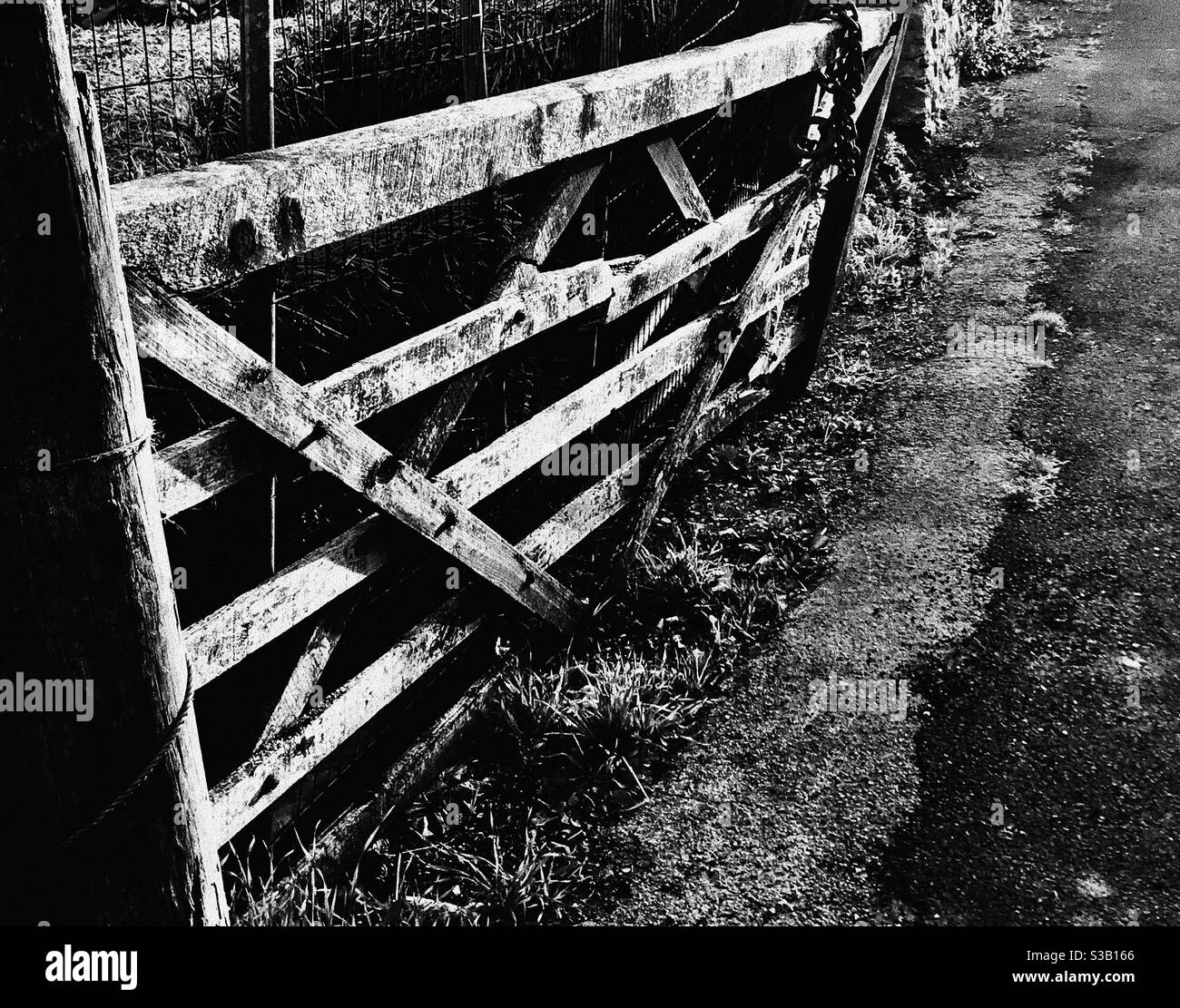 Old falling down wooden gate Stock Photo