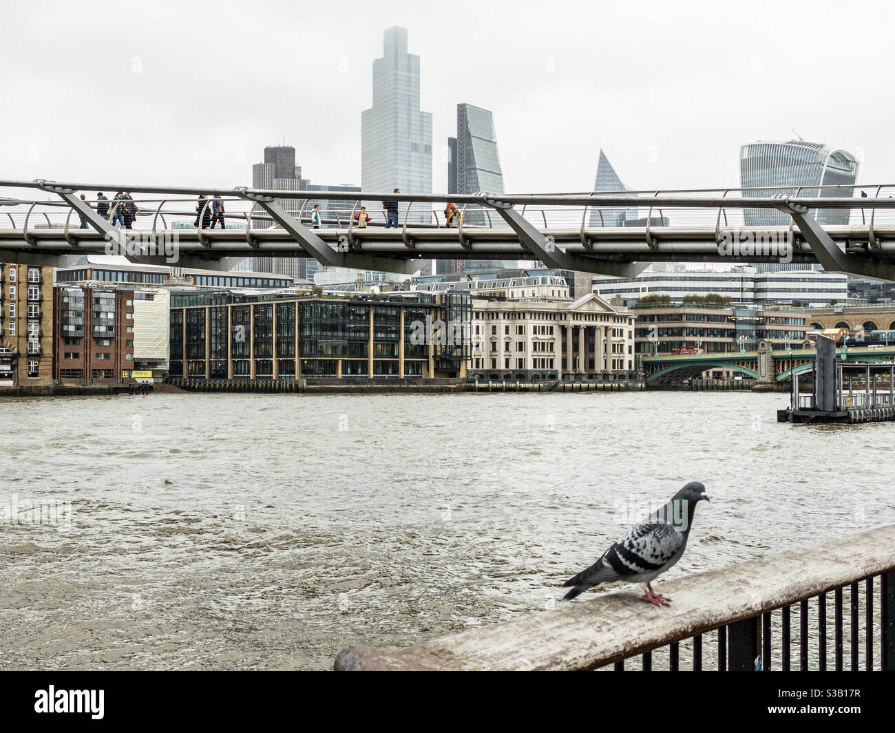 A pigeon resting near the Millennium Bridge, London - Smartphone Captured Stock Image