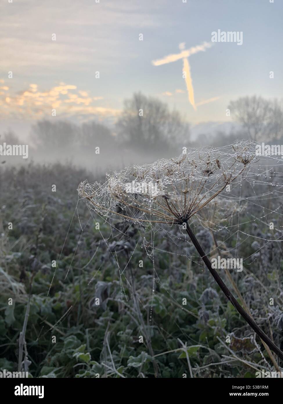 Frosty morning in England Stock Photo