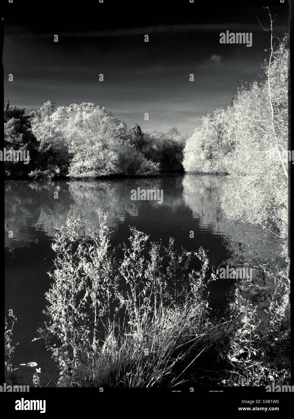 Infrared view of tree lined lake in Autumn. Ancaster. Lincolnshire, UK. Stock Photo