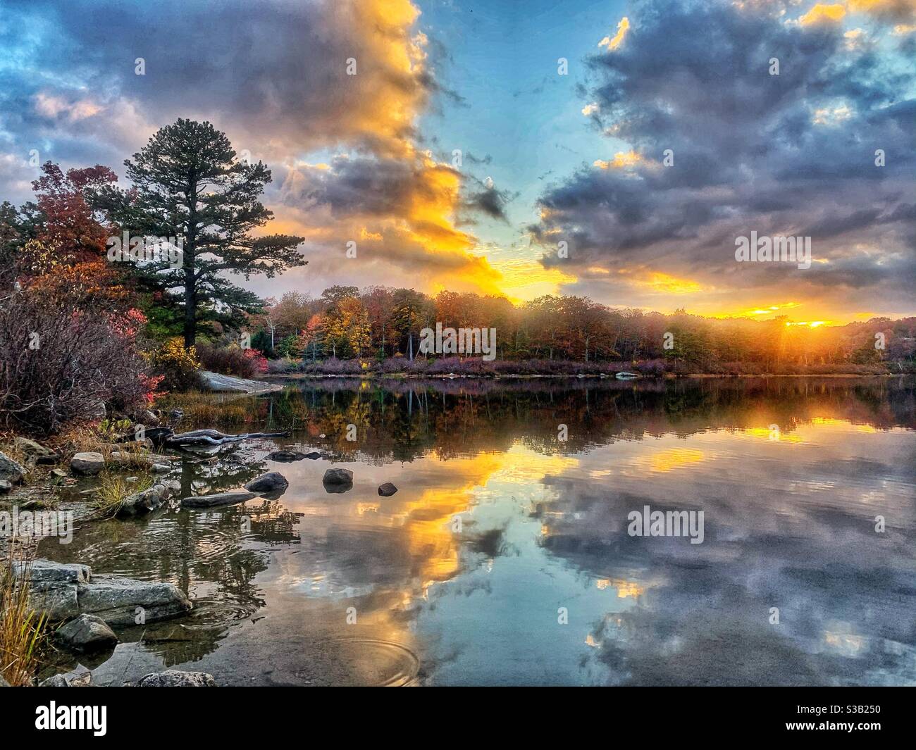 Autumn in New Jersey - Smartphone Captured Stock Image