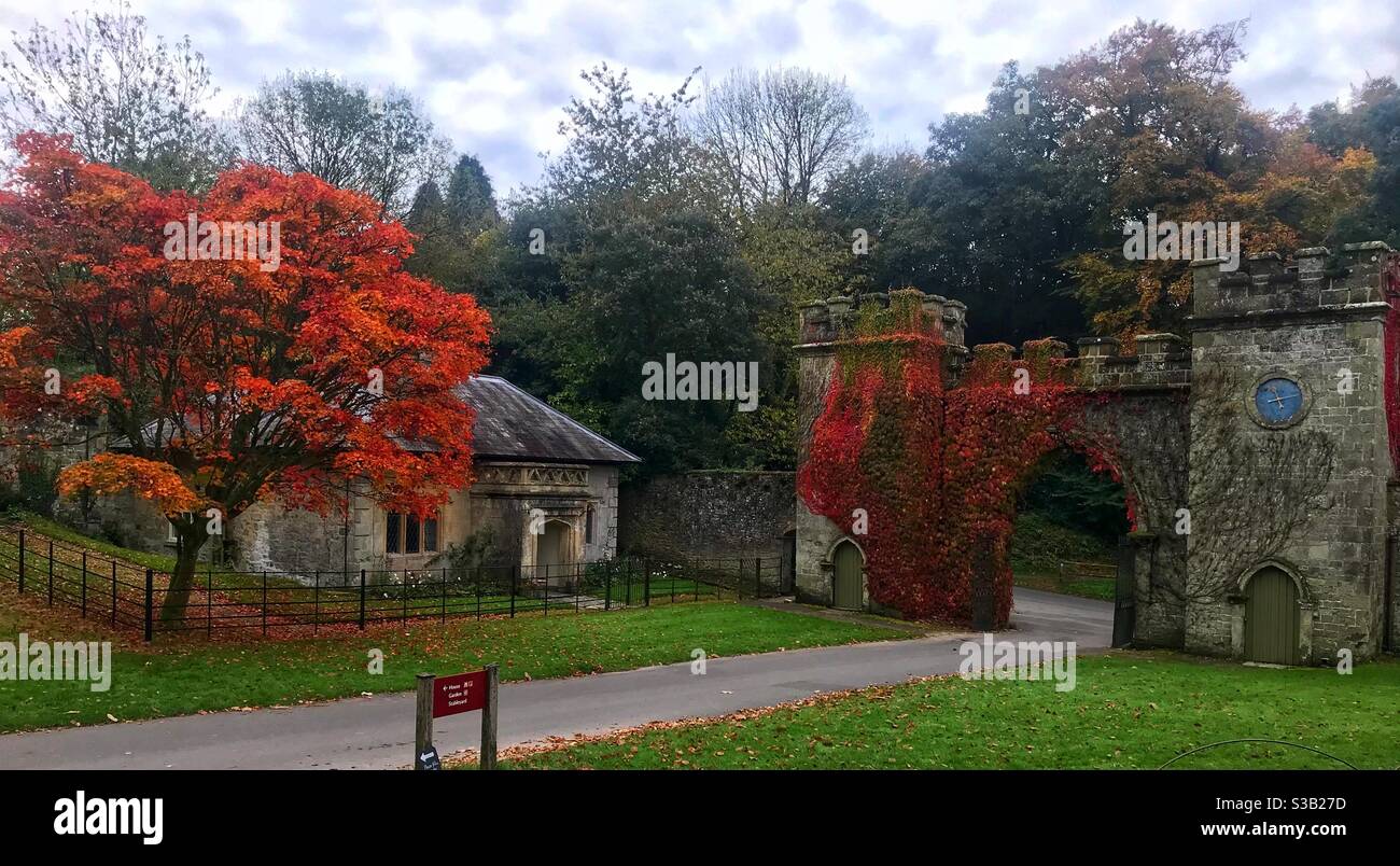 National trust stourhead - Smartphone Captured Stock Image
