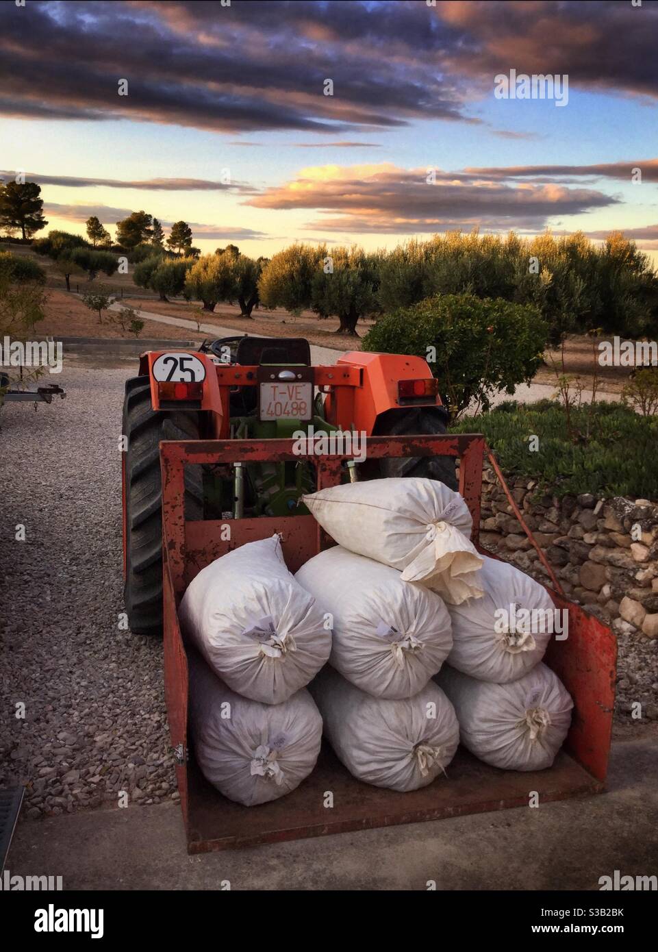 Bagged almonds loaded onto a tractor, Catalonia, Spain. - Smartphone Captured Stock Image