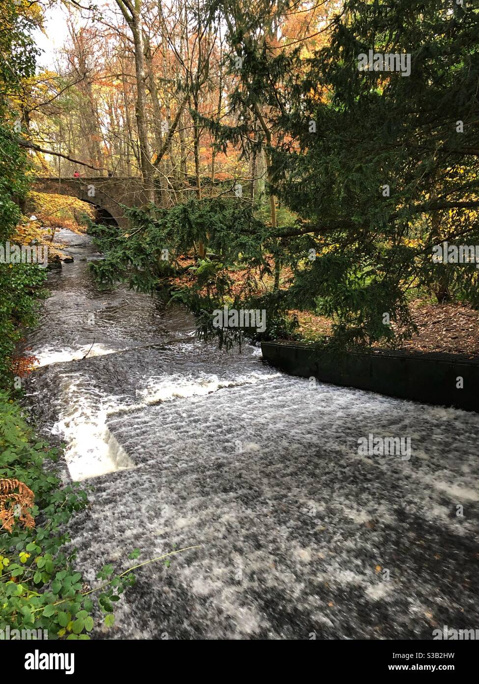 Waterfall in Autumn woods at Crathes castle, Aberdeenshire Stock Photo