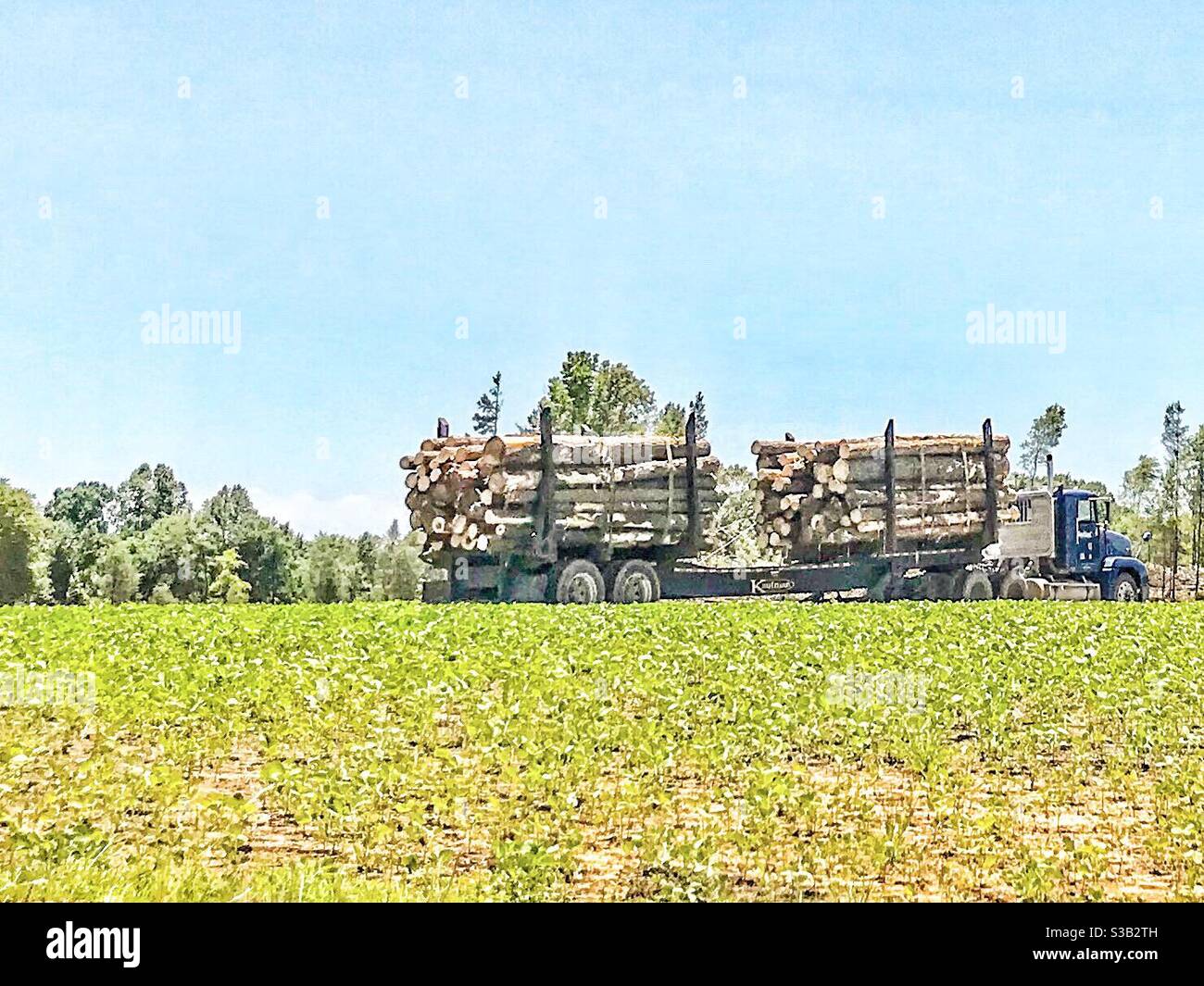 Truck hauling logs from logging site, through farmer’s field Stock ...