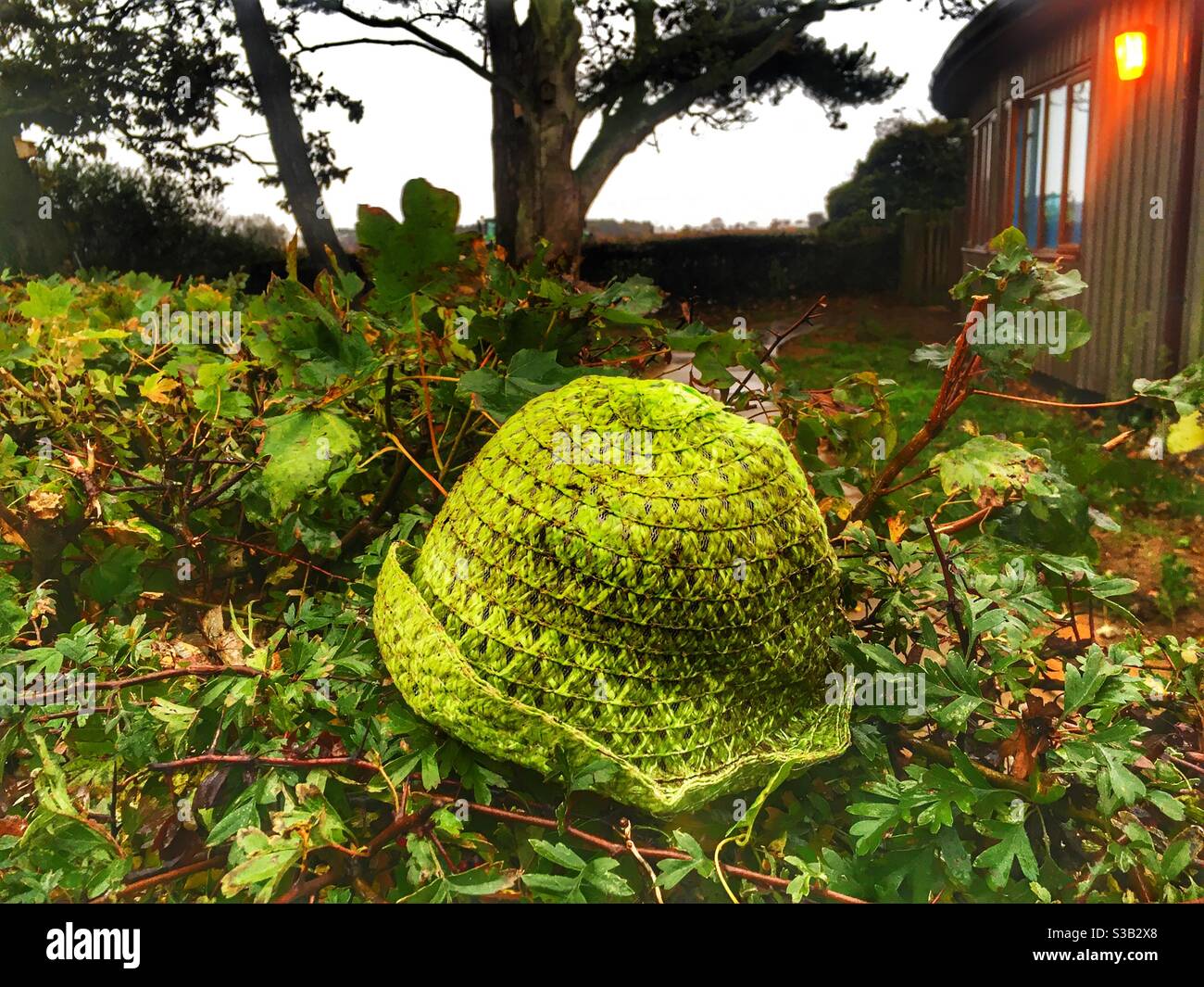 Green coloured hat hi-res stock photography and images - Alamy