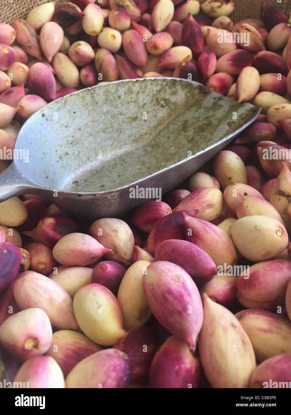 Pistachio nuts from Aegina island, Greece, arguably one of the most tasteful pistachios in the world. - Smartphone Captured Stock Image