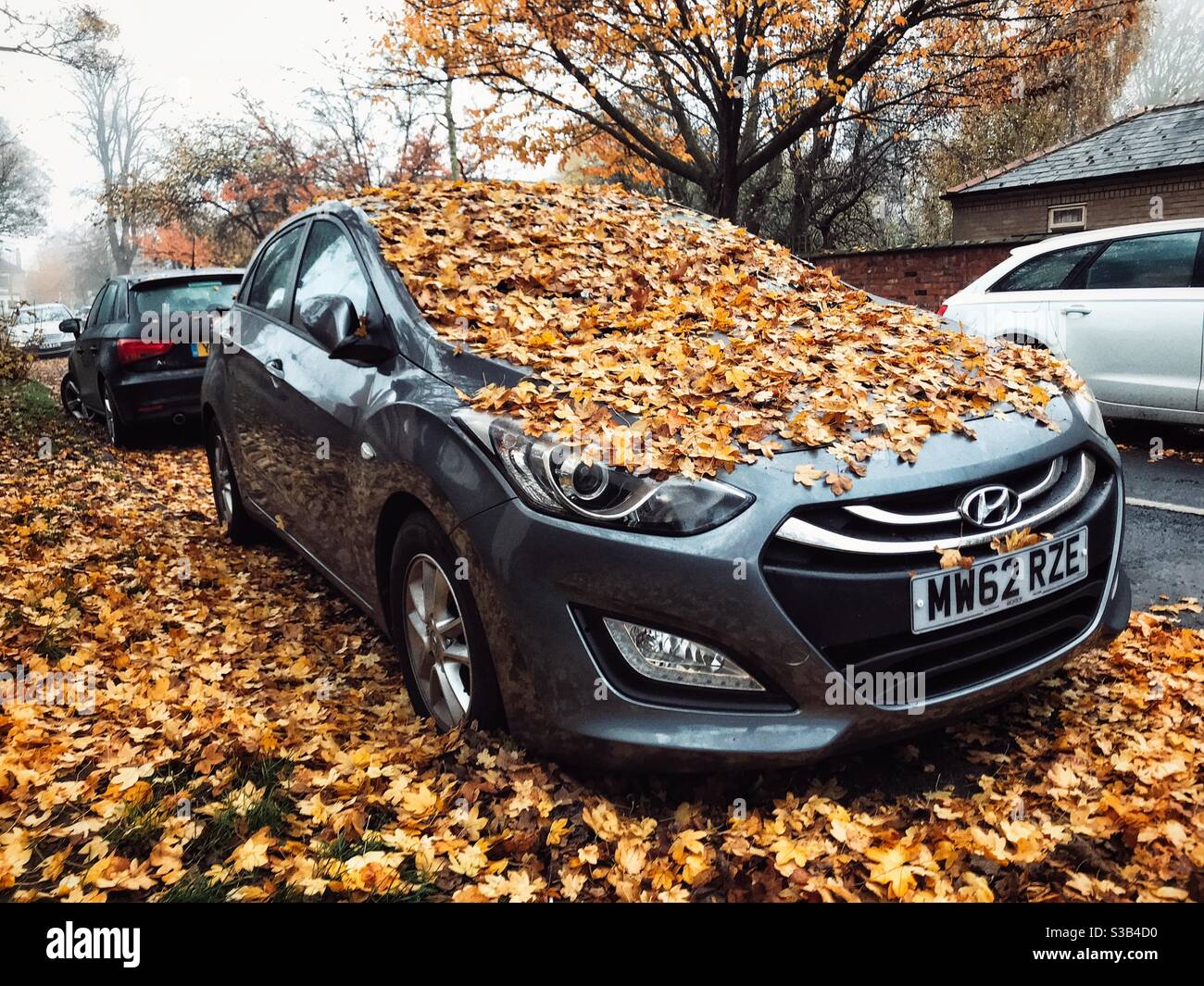 Car covered leaves hi-res stock photography and images - Alamy