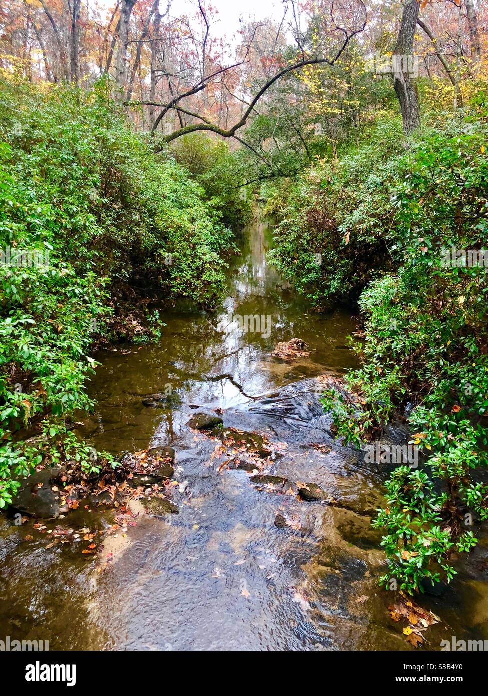 Bear Creek in northeast Alabama Stock Photo Alamy