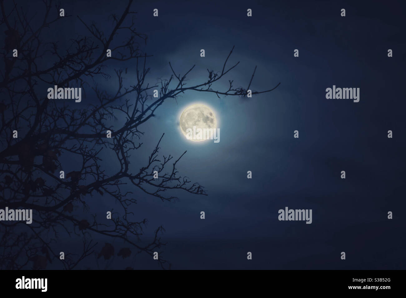 Spooky moonlight - Smartphone Captured Stock Image