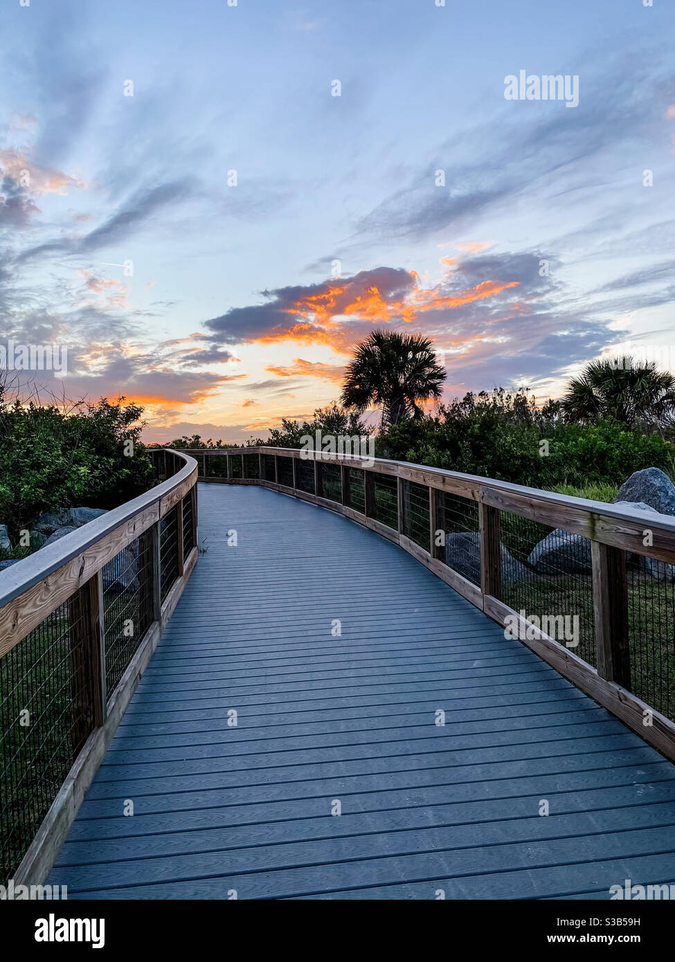 The Dunes, New Smyrna Beach, Florida Stock Photo Alamy