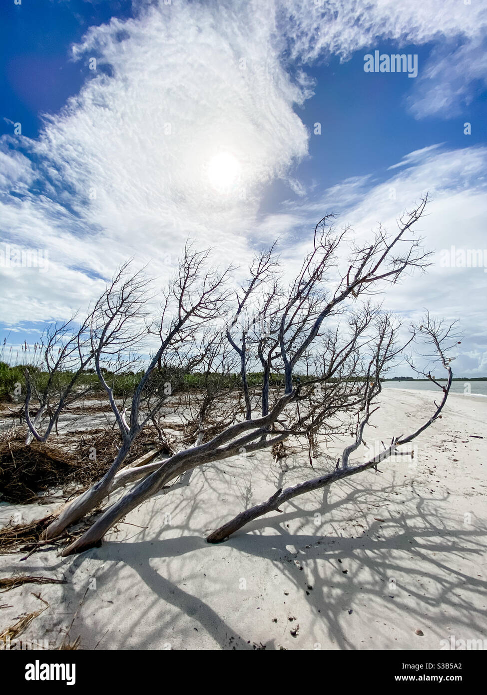 New Smyrna Beach, Florida Stock Photo Alamy