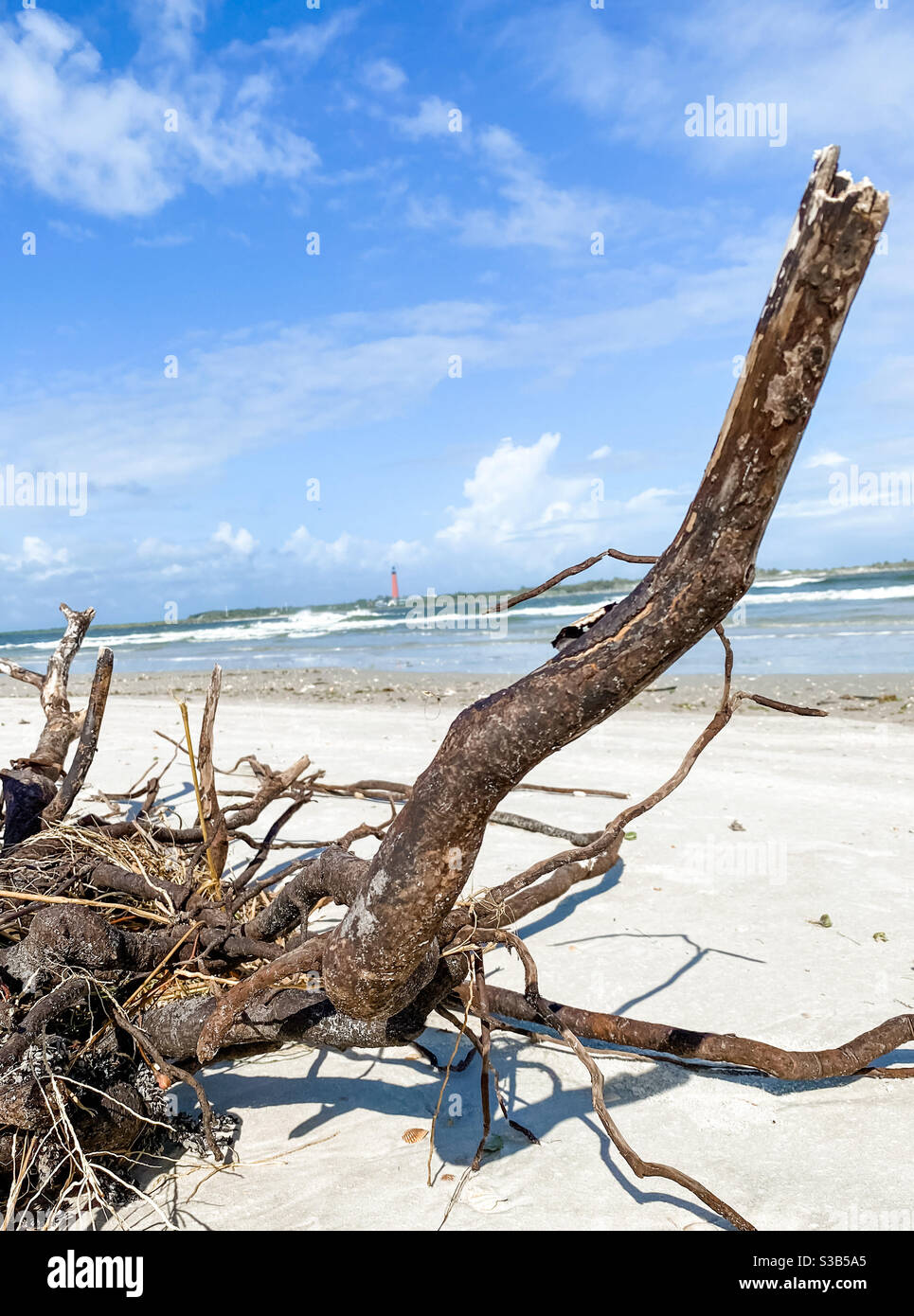 New Smyrna Beach, Florida Stock Photo Alamy
