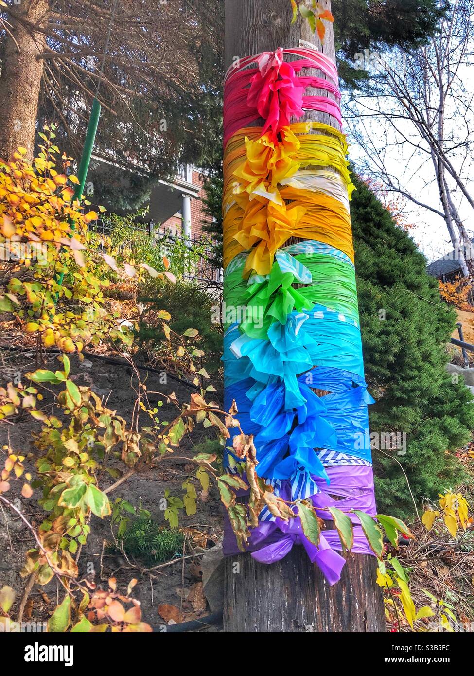 Fall ribbons hi-res stock photography and images - Alamy