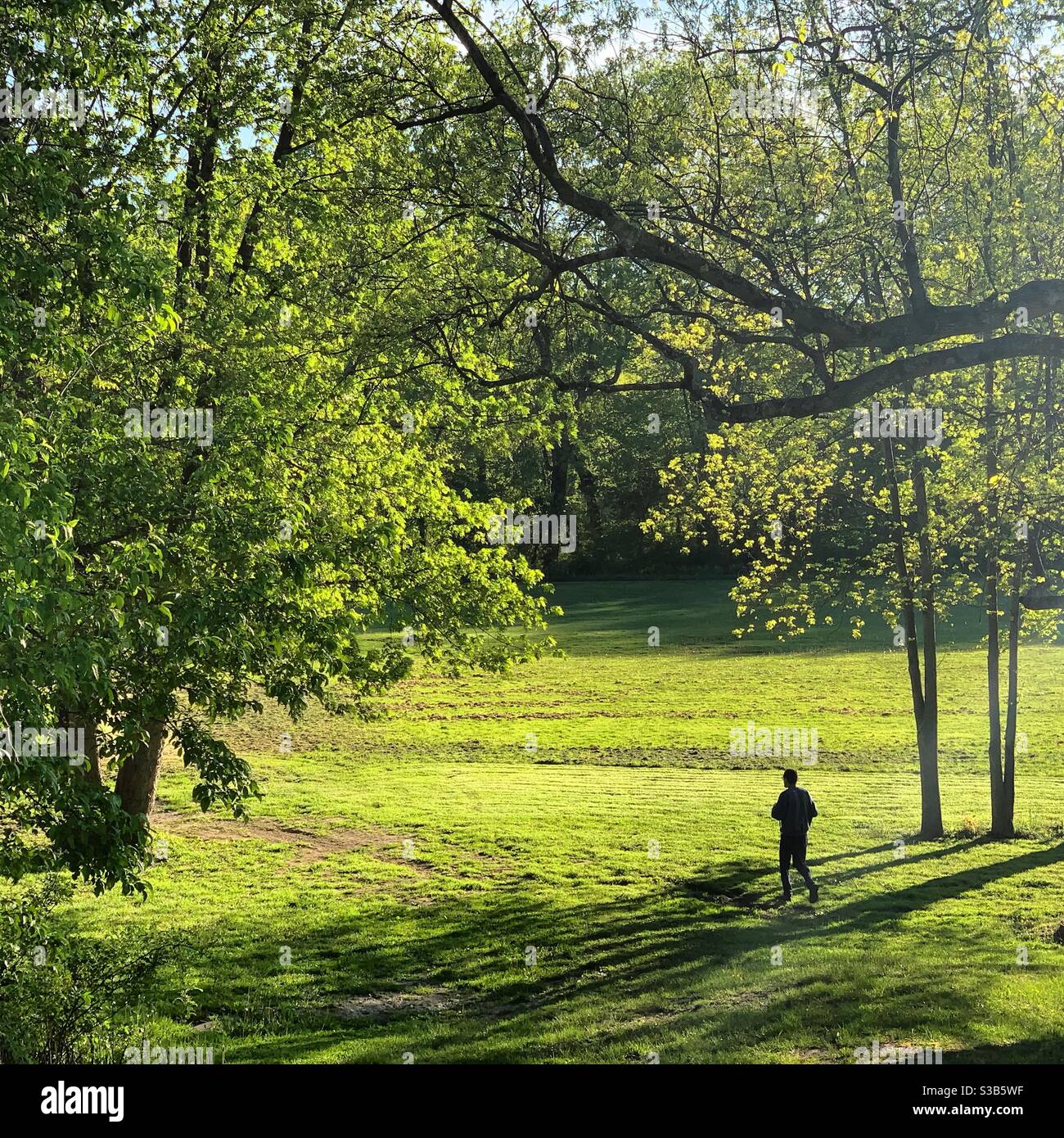 A man in a field in springtime, 2020, Greenfield, Massachusetts, United States - Smartphone Captured Stock Image