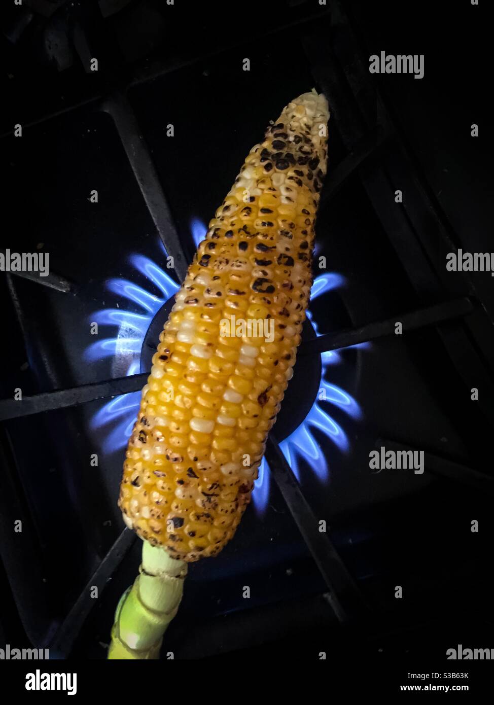 Fresh cob of corn roasting on open gas   fire, plain background with room for text. - Smartphone Captured Stock Image