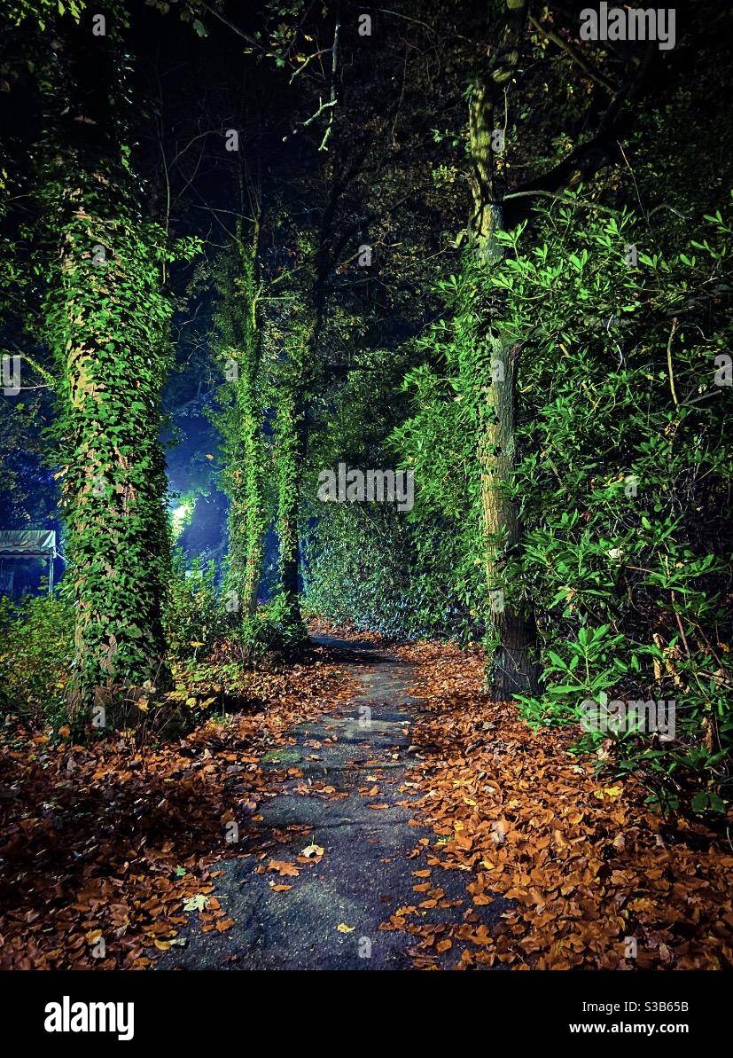 Walk in the dark - Smartphone Captured Stock Image