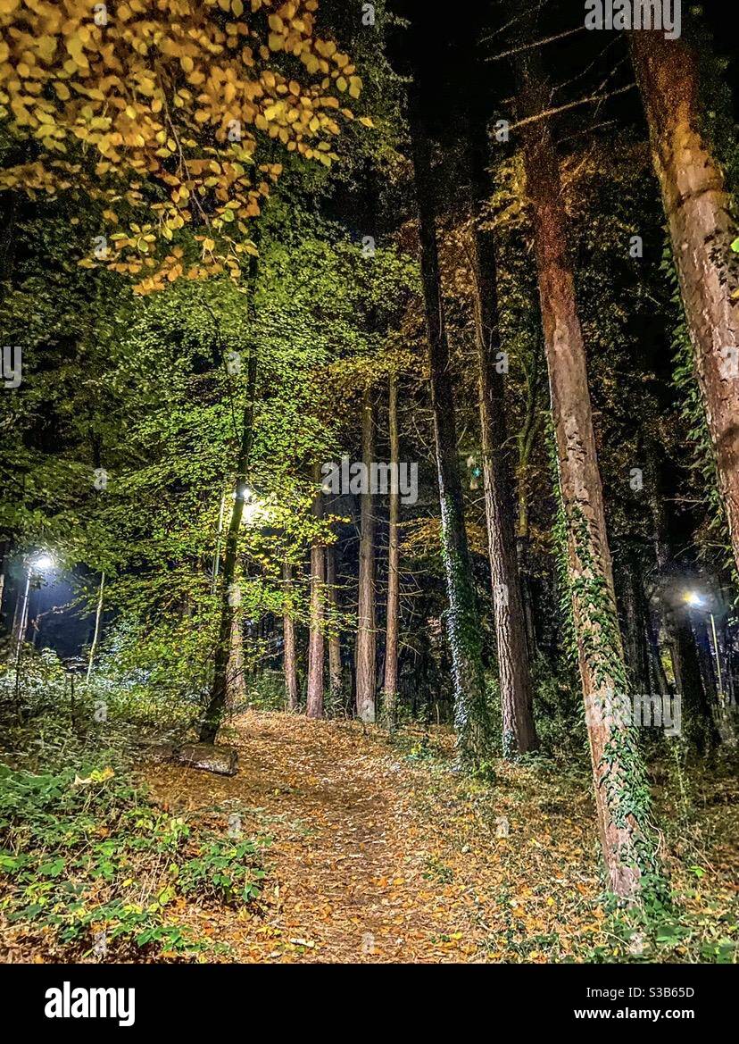 Countryside walks - Smartphone Captured Stock Image