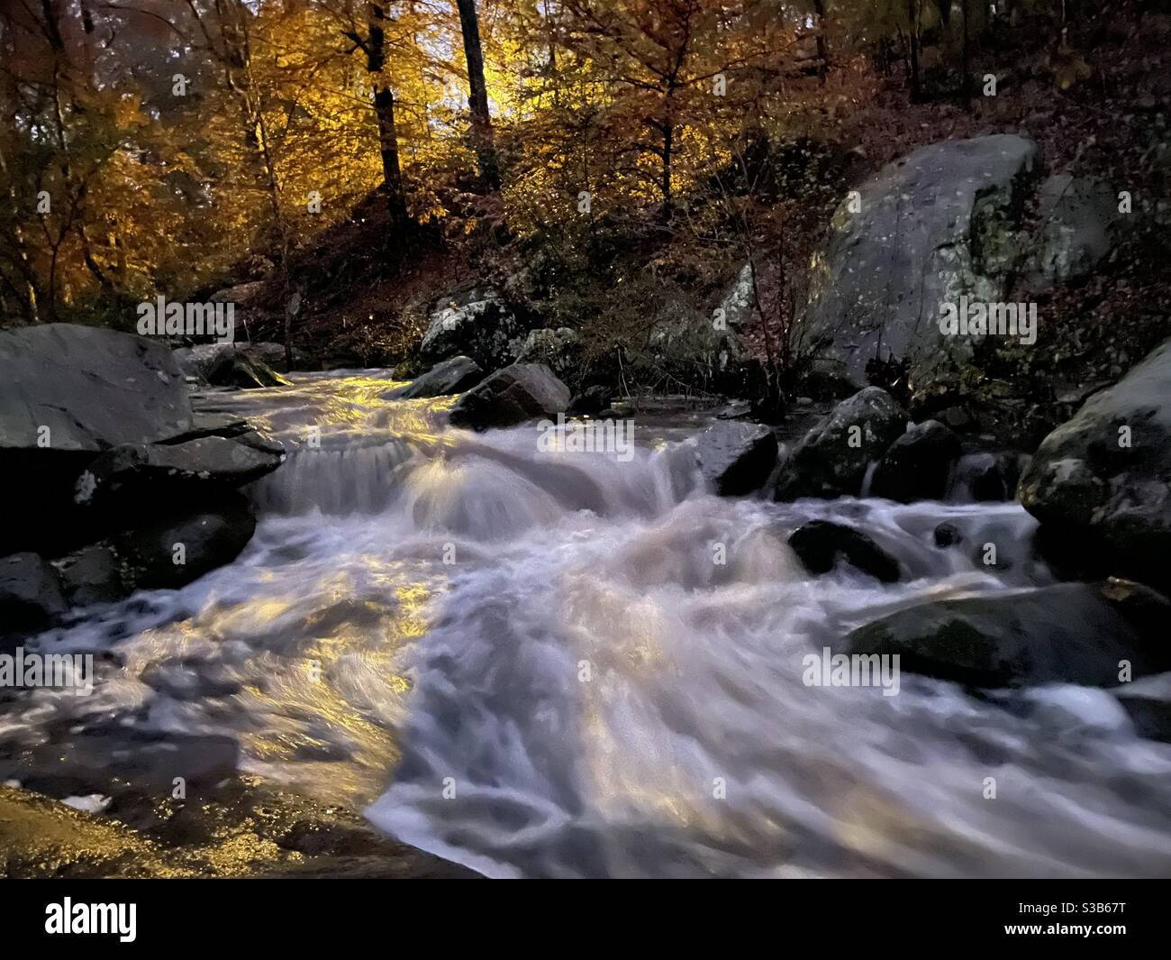 A creek flows over rocks and through a park under a streetlight in the fall. Stock Photo
