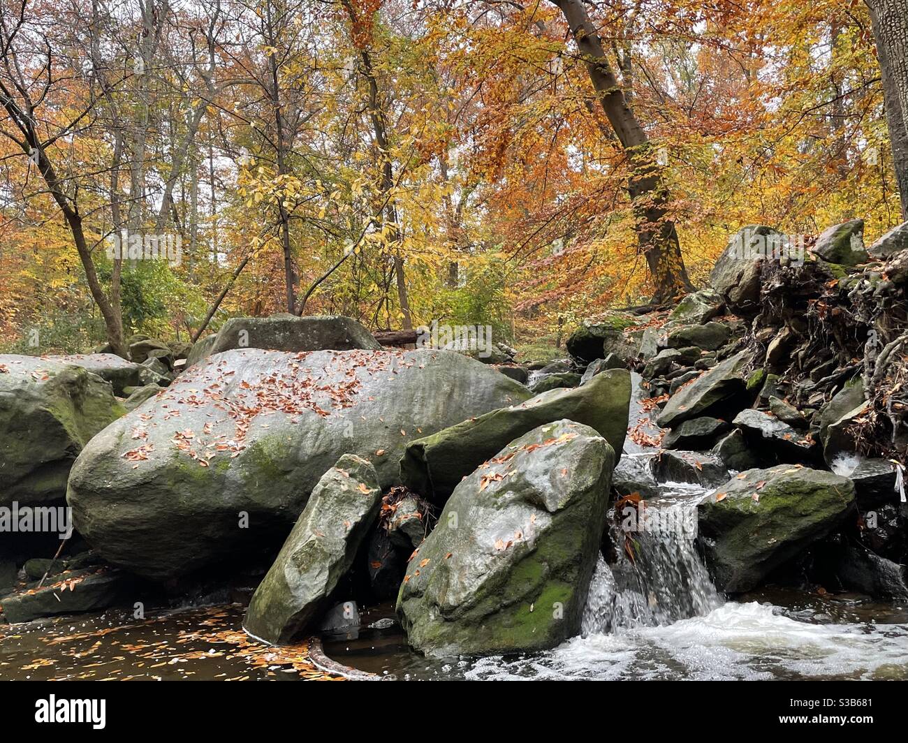 A small creek flows through the forest on a crisp autumn morning. Stock Photo
