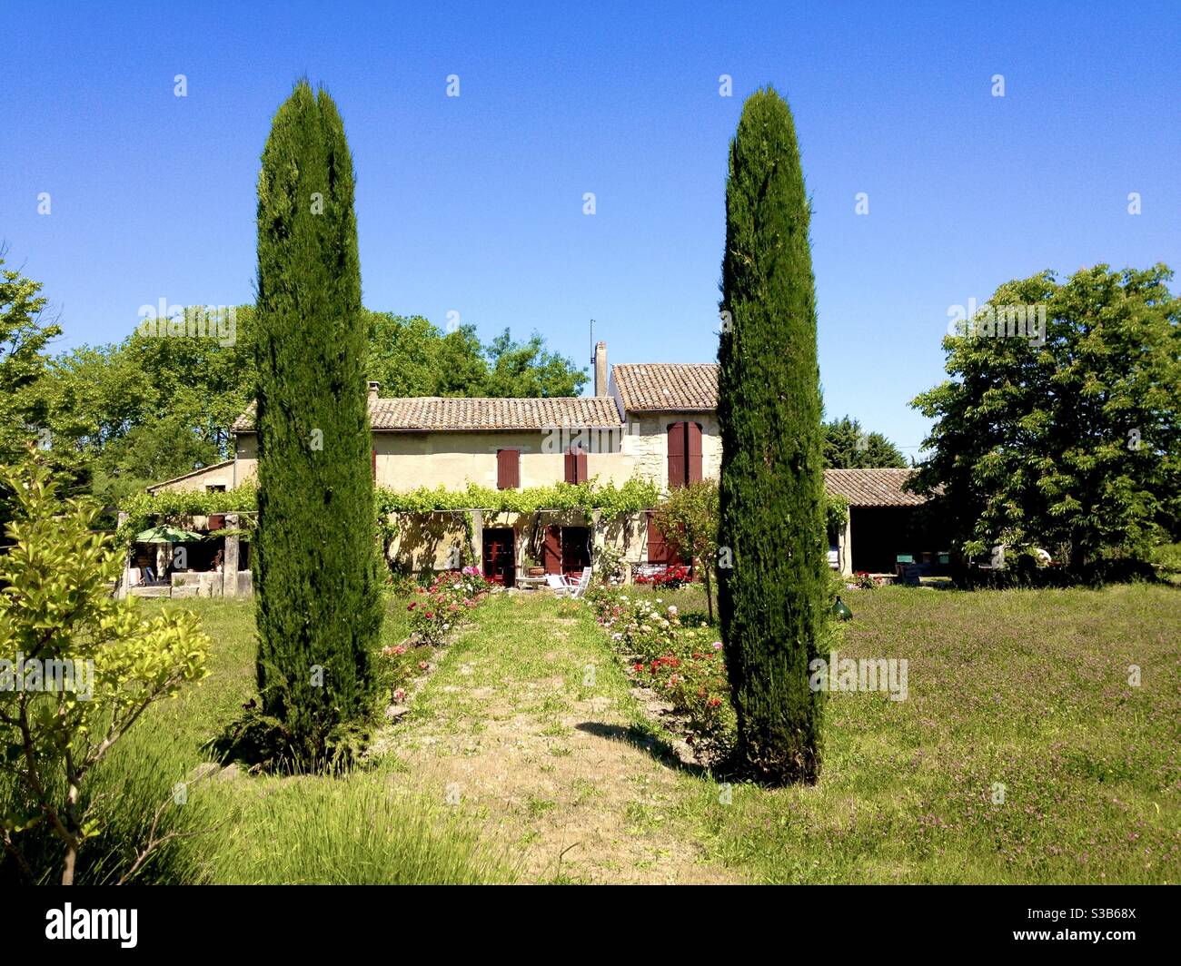Country home in Saint Remy de Provence with 2 trees. - Smartphone Captured Stock Image
