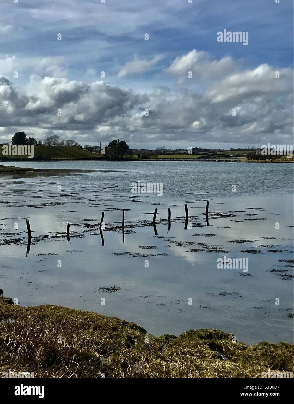 Strangford Lough, Northern Ireland Stock Photo Alamy