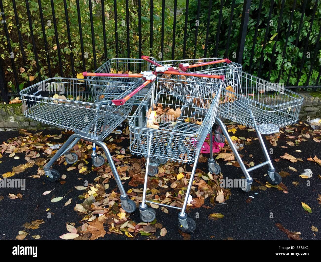 A huddle of shopping trolleys in autumn leaves - Smartphone Captured Stock Image