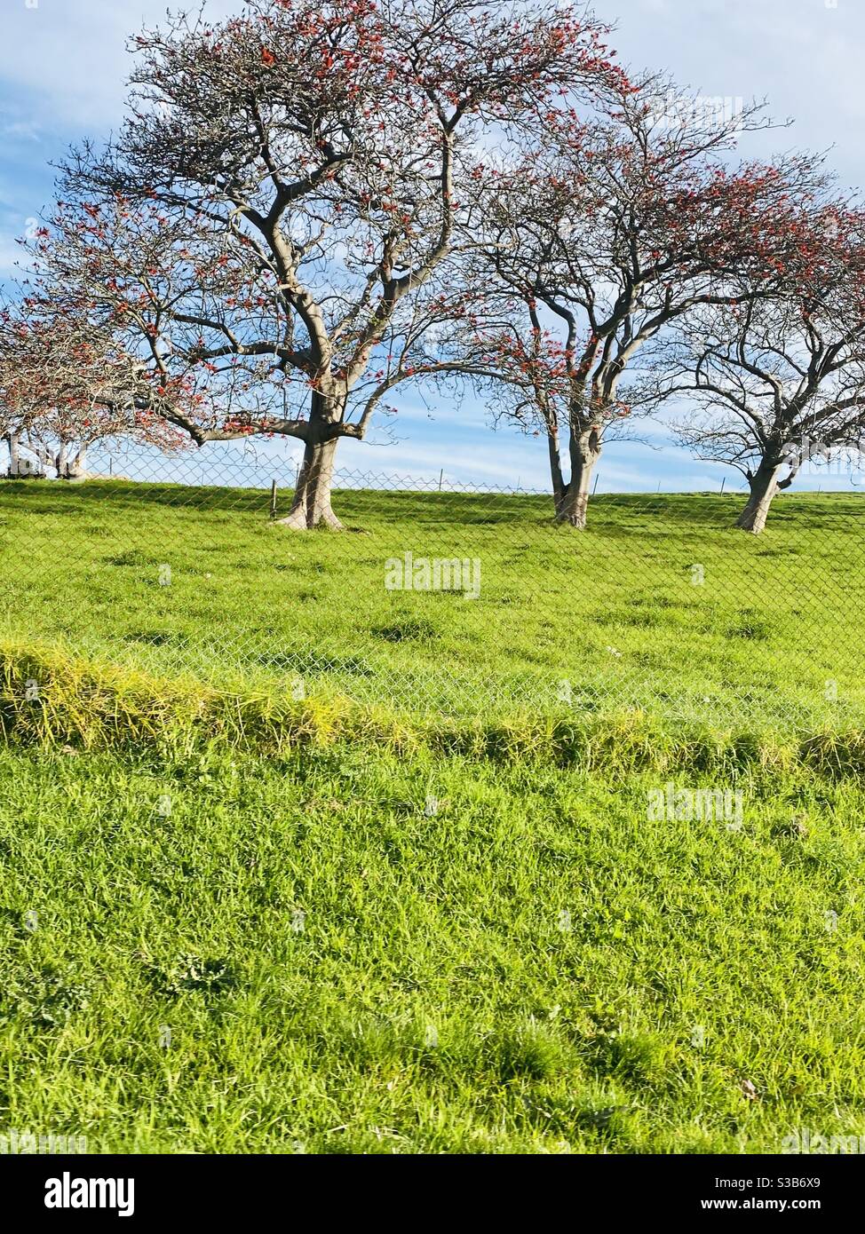 Jamberoo countryside in New South Wales Australia. Stock Photo