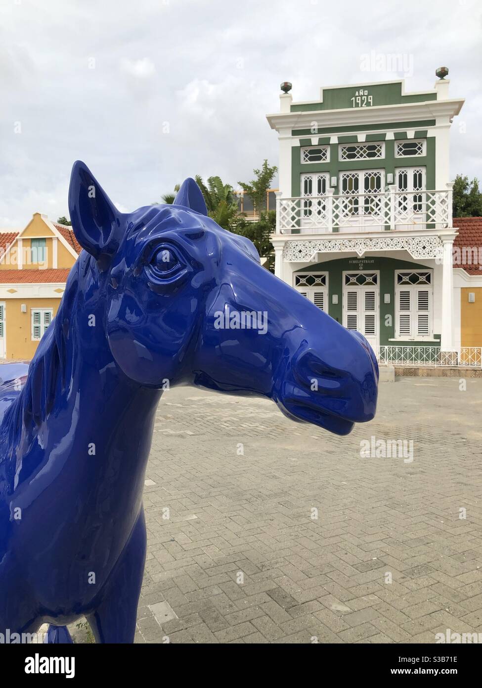 Blue horse art Osaira Muyale. In front of Ecury complex that houses Aruba National Archeological Museum in downtown Oranjestad Stock Photo - Alamy Blue horse art Osaira Muyale. In front of Ecury complex that houses Aruba National Archeological Museum in downtown Oranjestad Stock Photo - Alamy