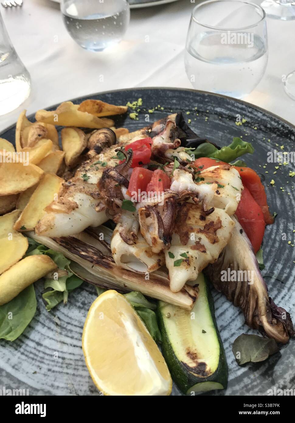 Grilled cuttlefish with thinly sliced potatoes and mixed vegetables - Smartphone Captured Stock Image