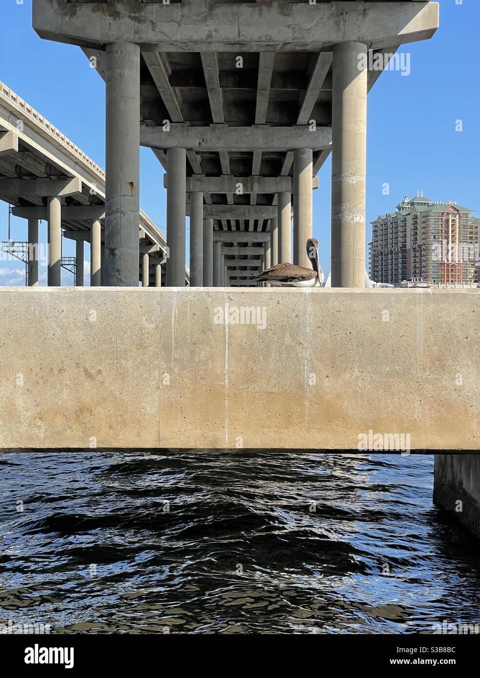 Pelican resting under the Destin, Florida bridge - Smartphone Captured Stock Image