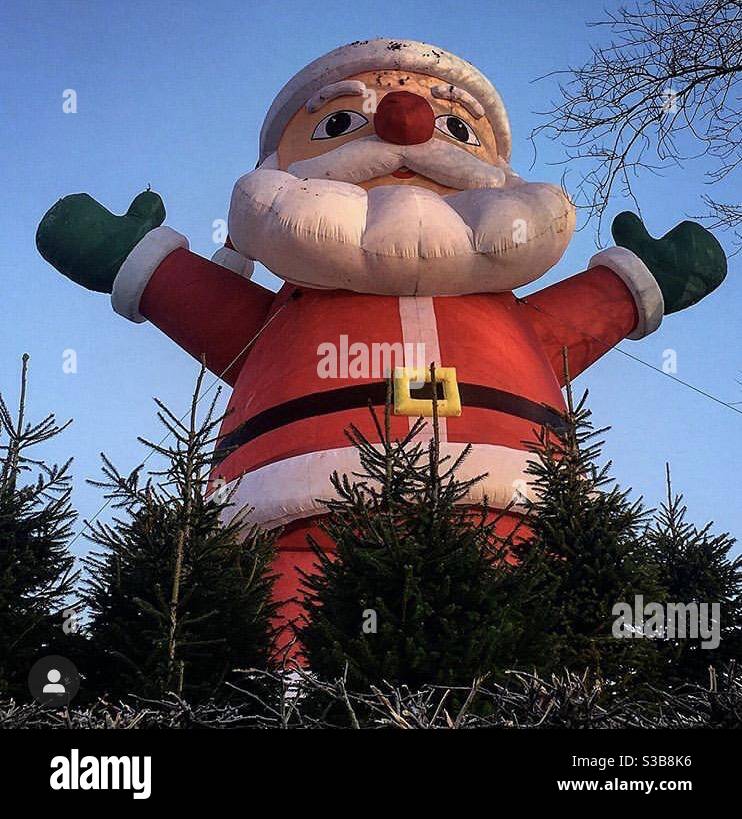 Santa at Keele Christmas Tree Farm in Staffordshire Stock Photo Alamy