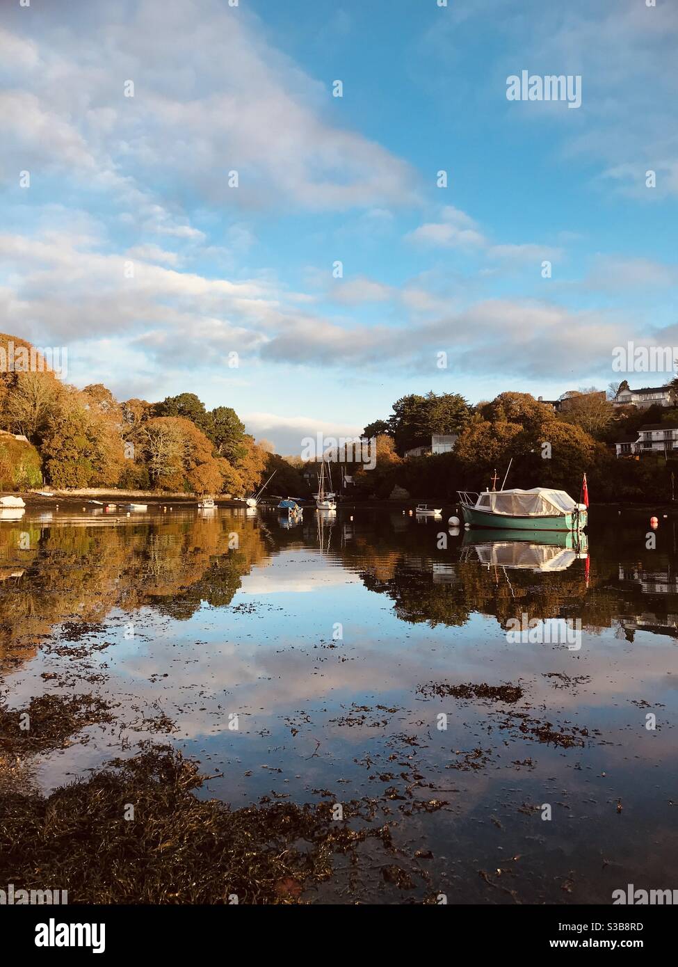 fantastic sky reflection in Pill Creek - Smartphone Captured Stock Image