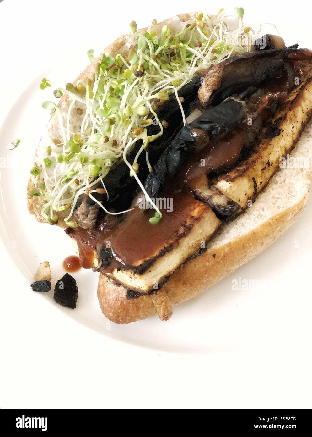 Healthy vegan tofu steak sandwich - Smartphone Captured Stock Image