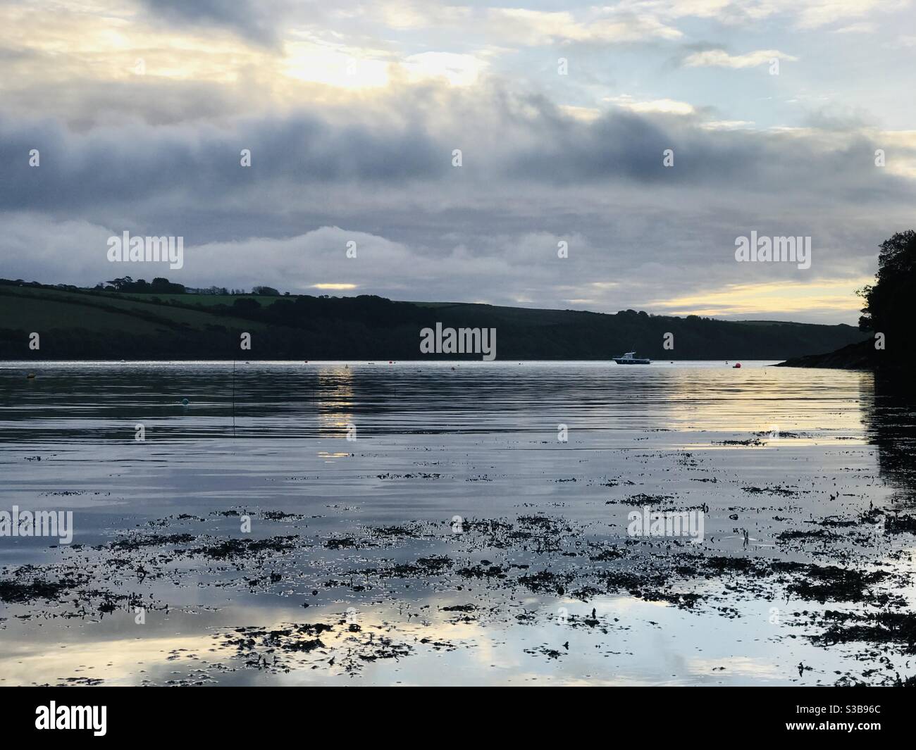 view across silvery sea from Pill Creek to Roseland - Smartphone Captured Stock Image