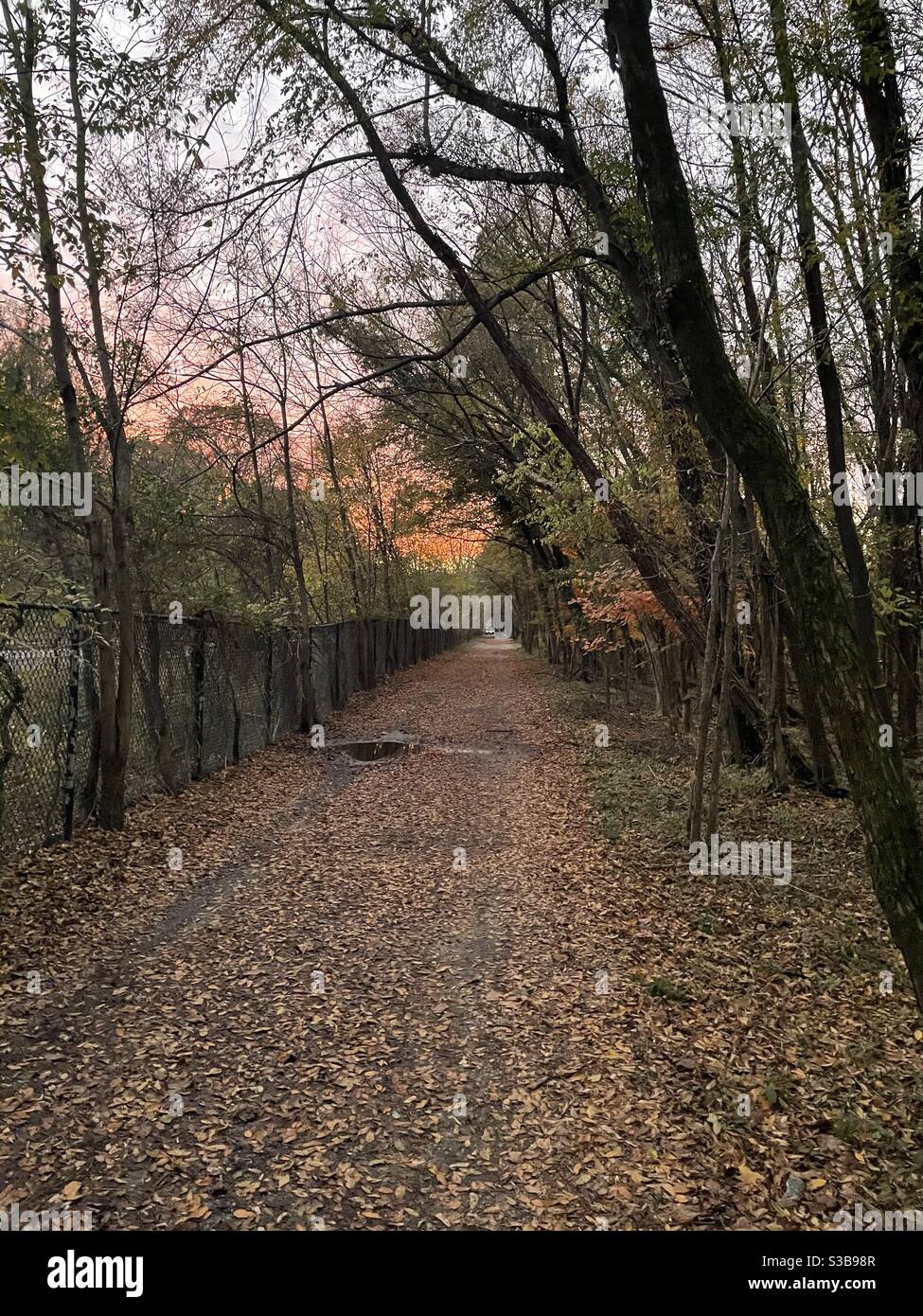 A gravel running trail during sunset in the fall. Stock Photo