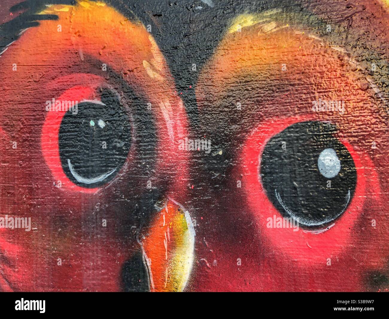 Mesmerizing bird eyes mural. Stock Photo