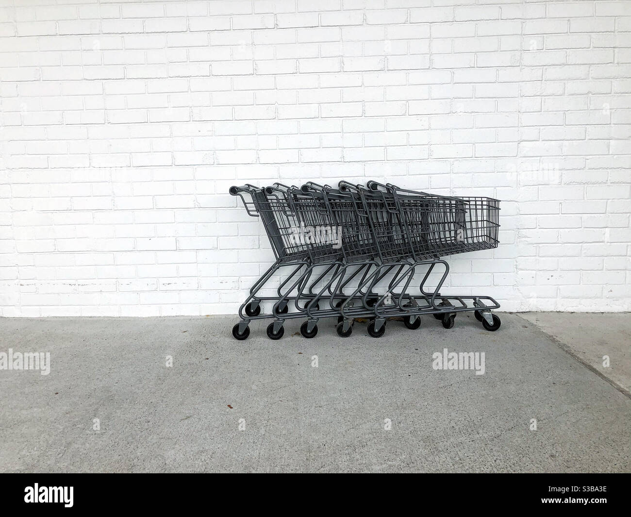 Row of black shopping carts lines up against white brick wall - Smartphone Captured Stock Image
