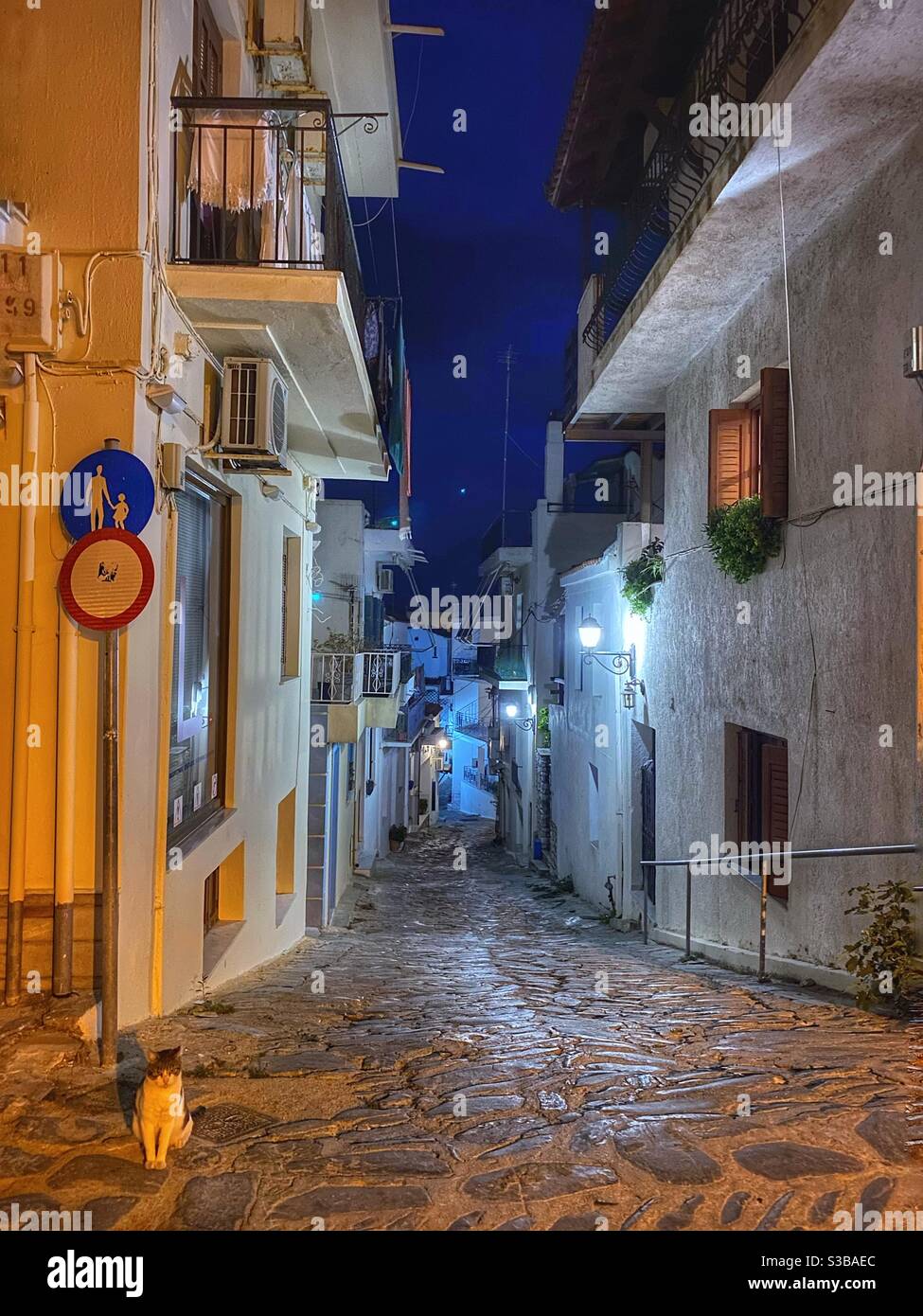 Night street view with a cat in Skiathos town. - Smartphone Captured Stock Image