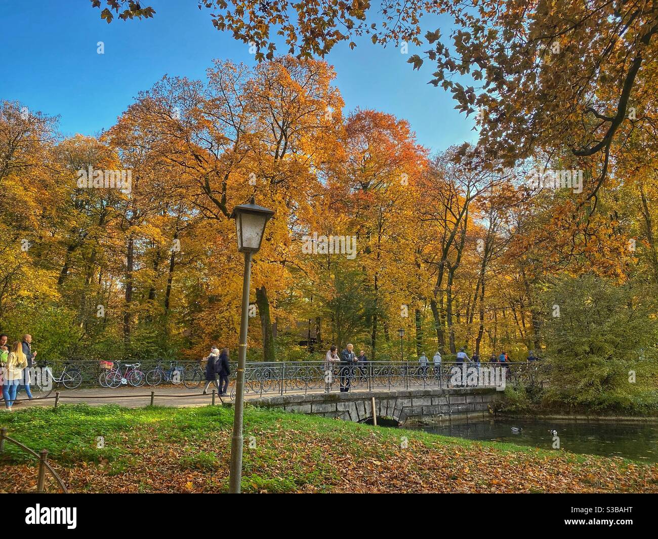 People walking over the bridge among autumn trees in Englischer Garten park in Munich. - Smartphone Captured Stock Image