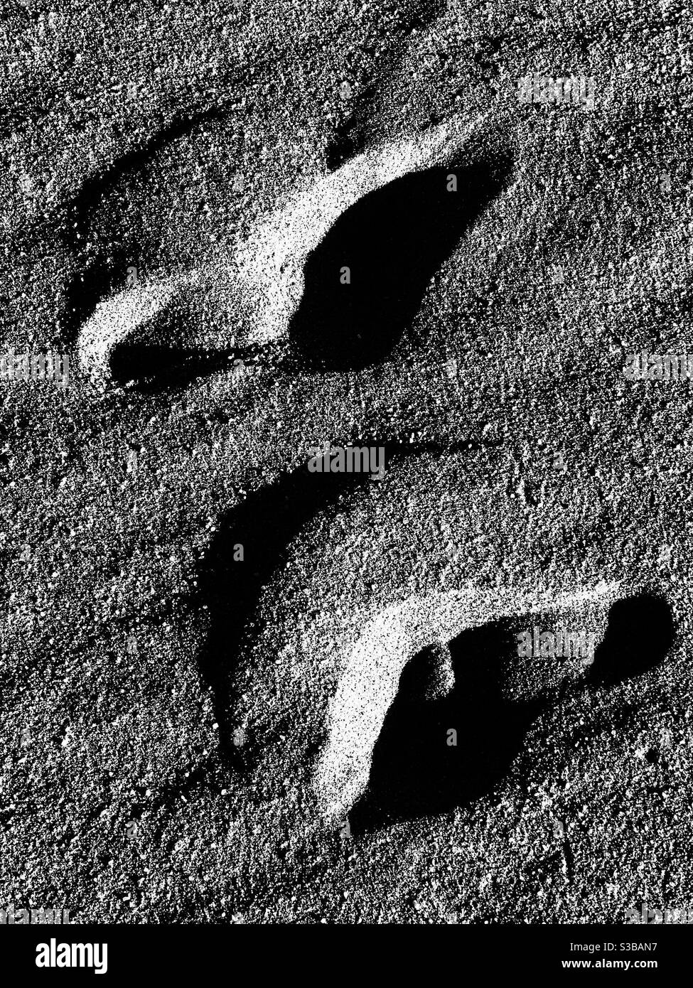Footprints in the sand Stock Photo Alamy