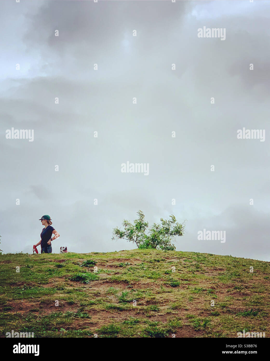 Walk in the park - Smartphone Captured Stock Image